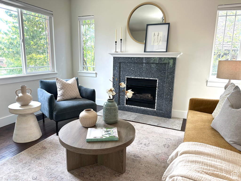Living room featuring a fireplace and wood finished floors