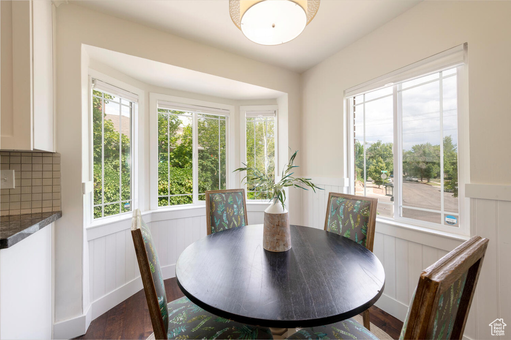 Dining room with a decorative wall, dark wood finished floors, a wainscoted wall, and plenty of natural light