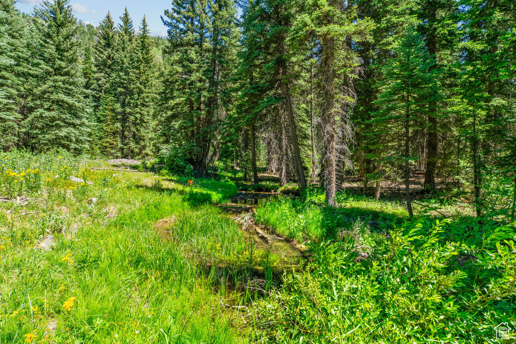 Photo 5 for MLS #2096666 at 9530 Pine Way