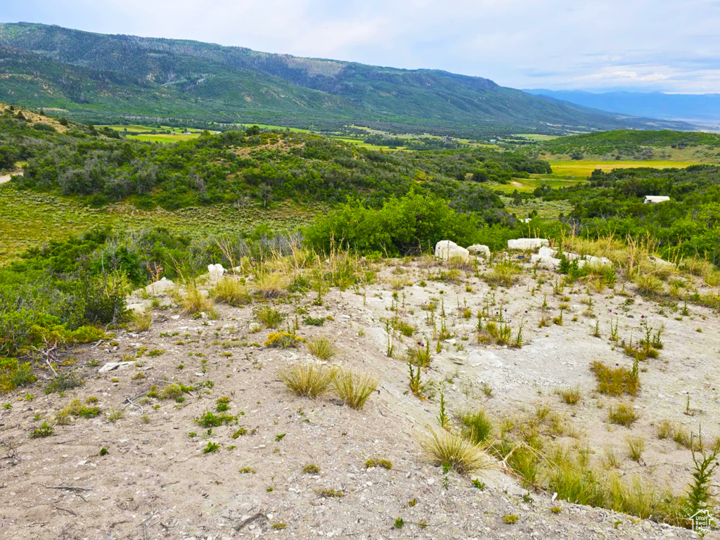 462 S VALLEYVIEW Indianola, UT 84629