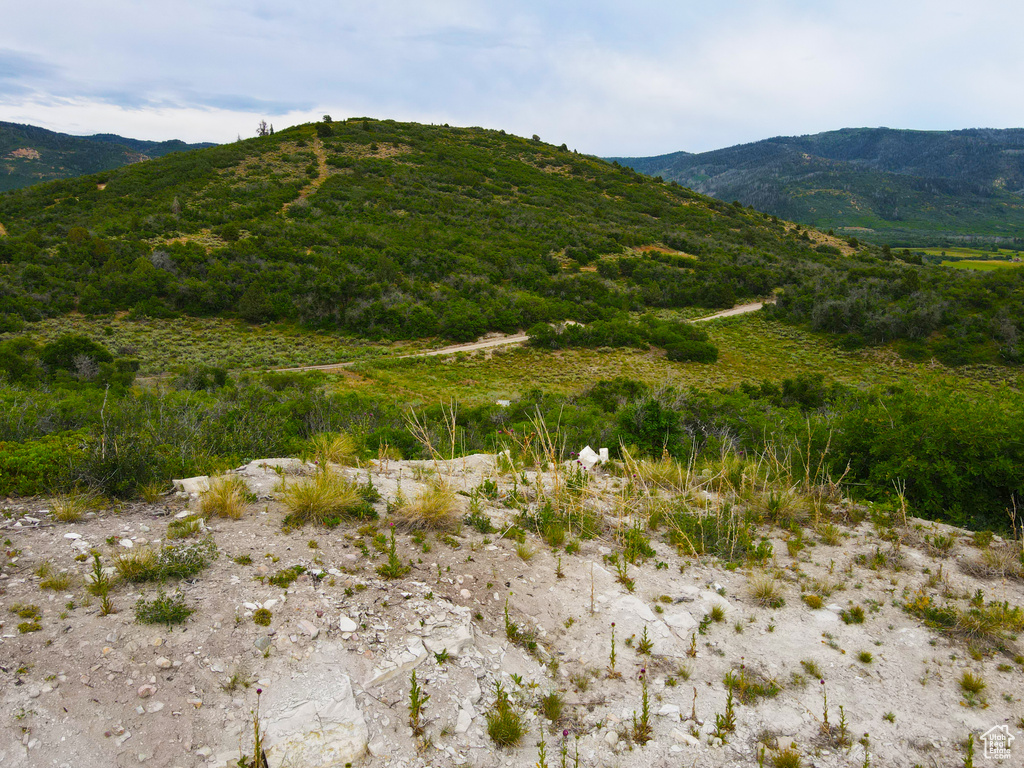 462 S VALLEYVIEW Indianola, UT 84629