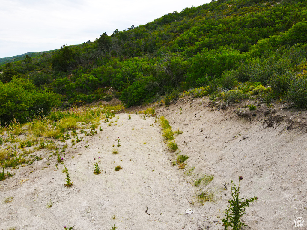 462 S VALLEYVIEW Indianola, UT 84629