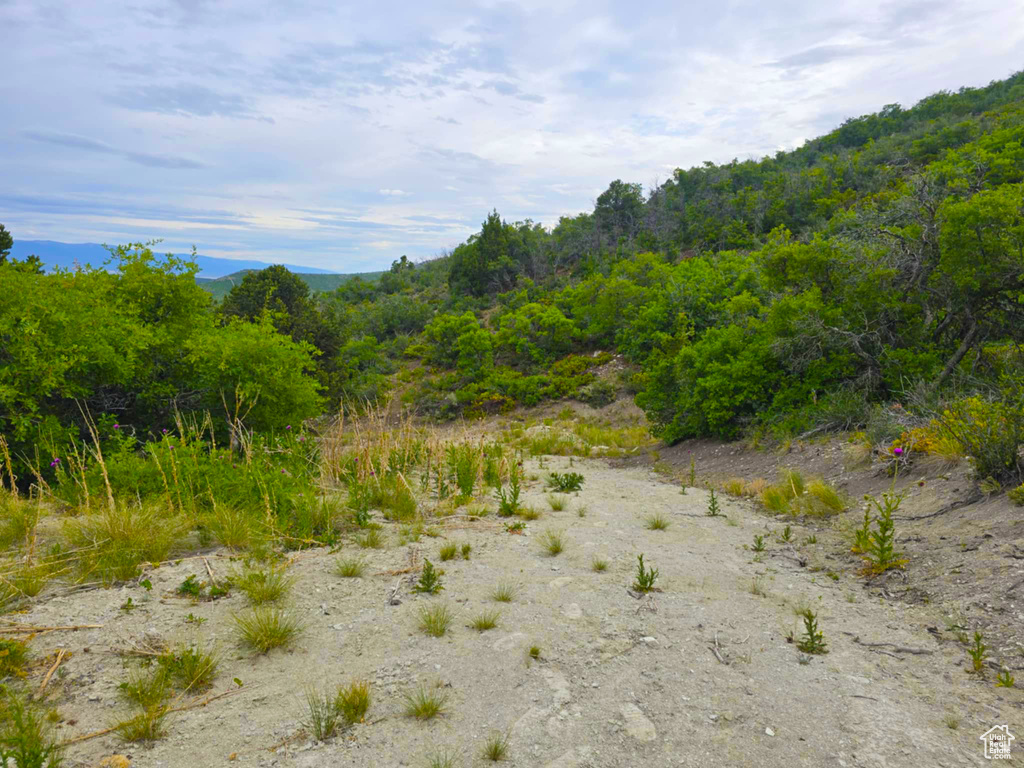 462 S VALLEYVIEW Indianola, UT 84629