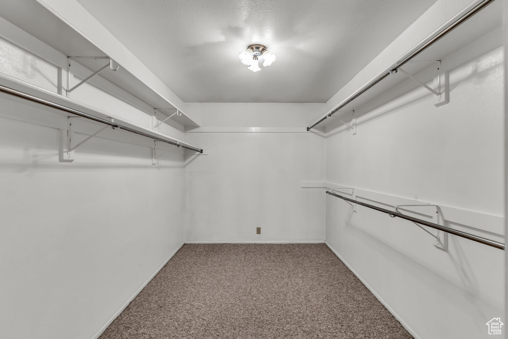 Walk in closet with carpet flooring