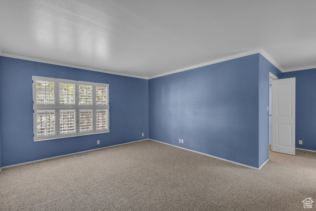 Carpeted empty room featuring crown molding and baseboards