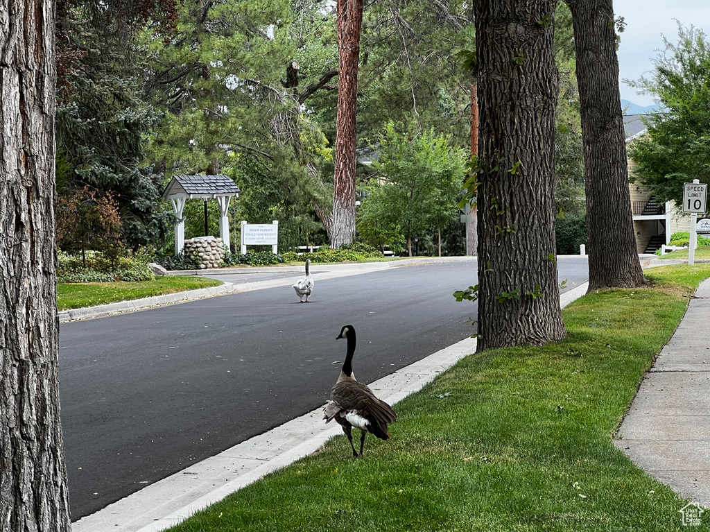 607 E 4030 S Millcreek, UT 84107