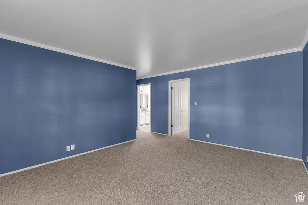 Carpeted spare room with ornamental molding