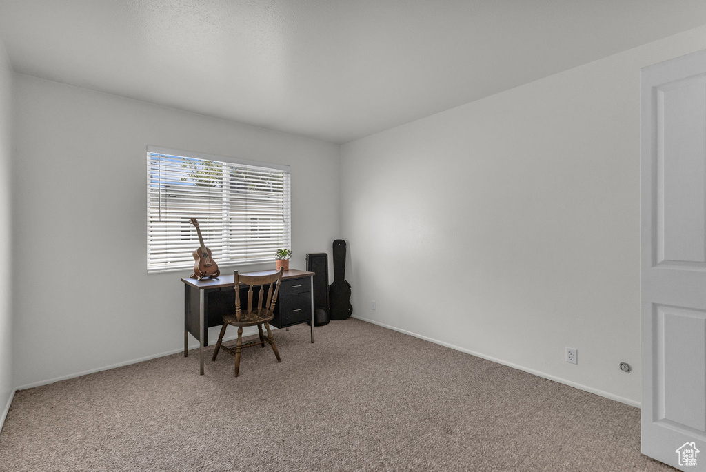 Office featuring carpet flooring