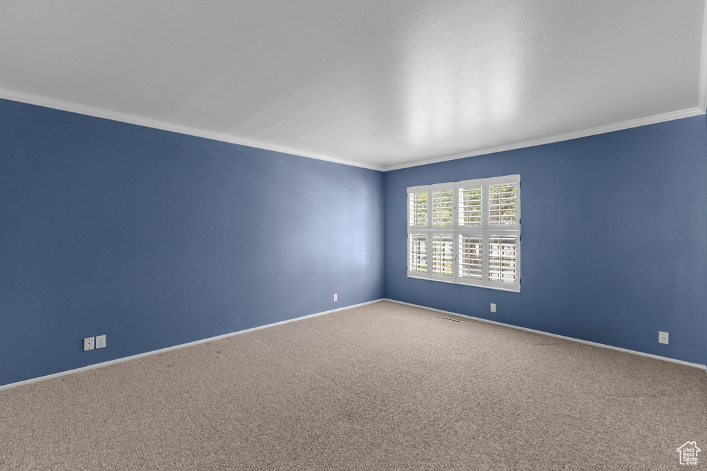 Spare room with crown molding and carpet flooring