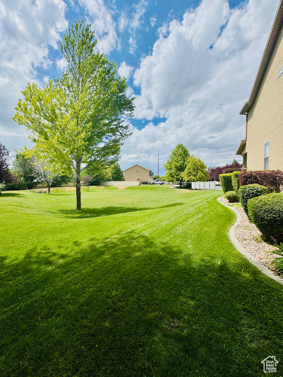 View of grassy yard