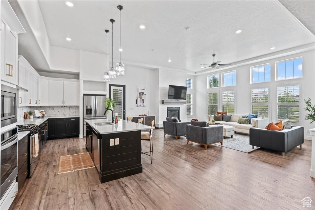 Kitchen with a glass covered fireplace, light countertops, light wood-style flooring, recessed lighting, and a ceiling fan