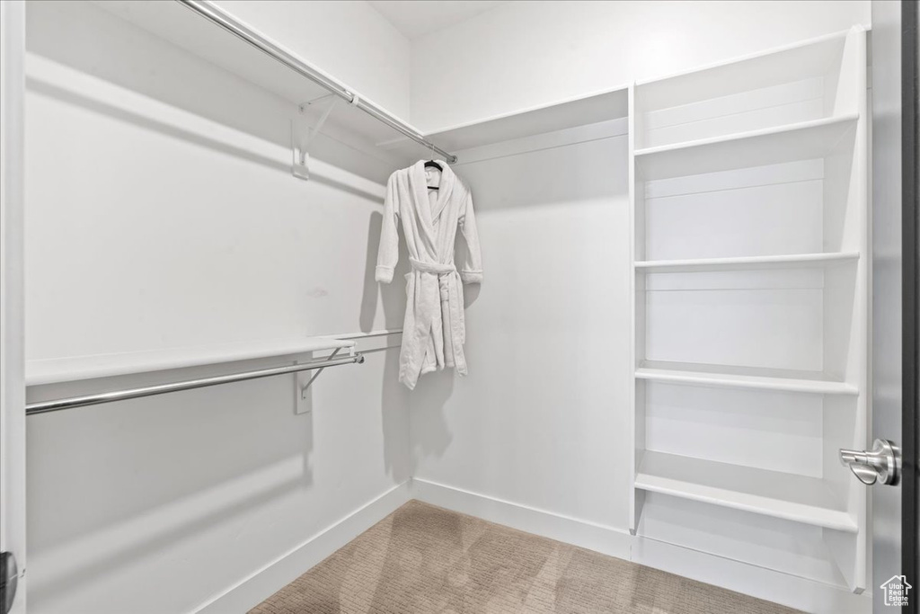 Walk in closet with carpet floors