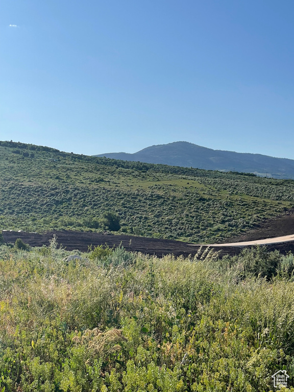 View of mountain background