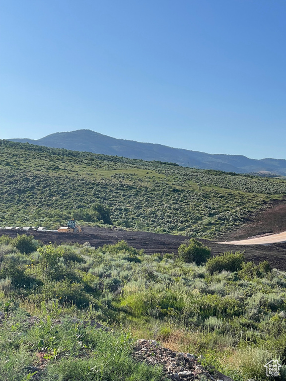 View of mountain backdrop