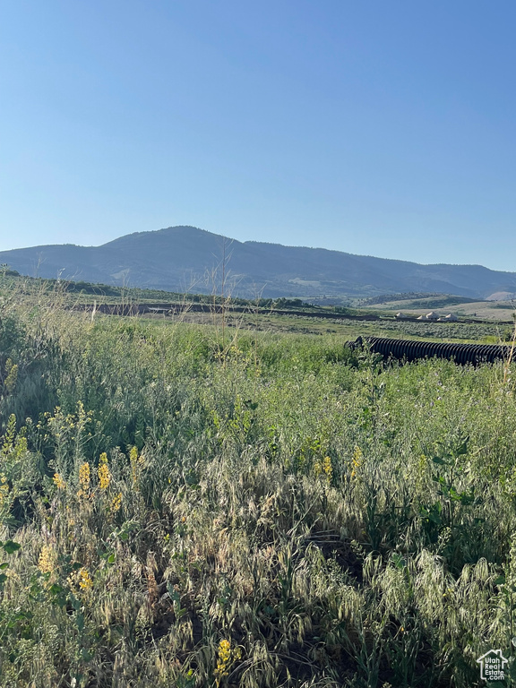 View of mountain background with rural landscape