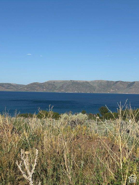 Water view featuring a mountainous background