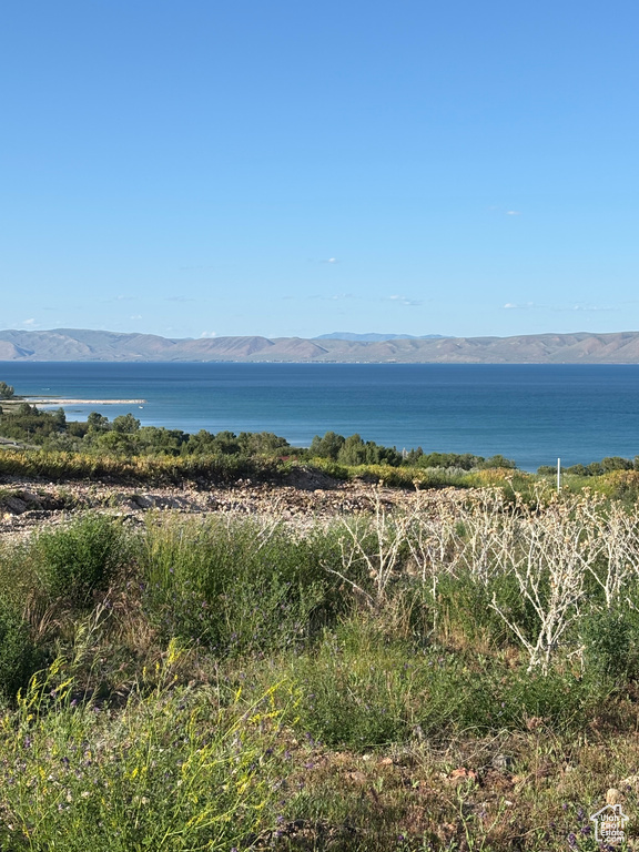 Water view featuring a mountainous background