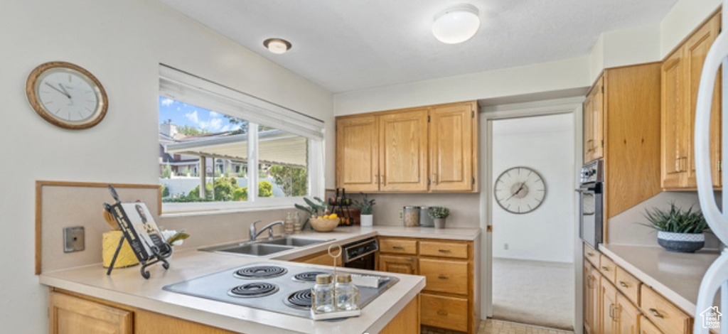Kitchen with electric stovetop, light countertops, black dishwasher, and stainless steel oven