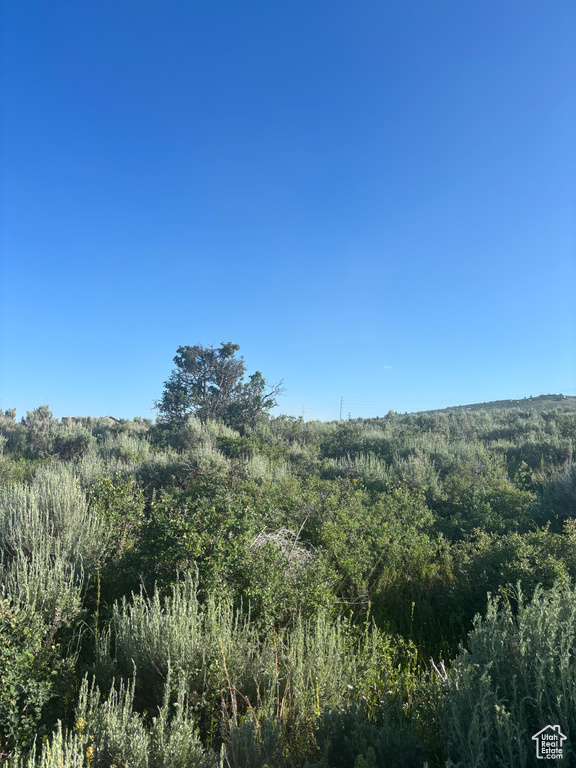 View of undeveloped land