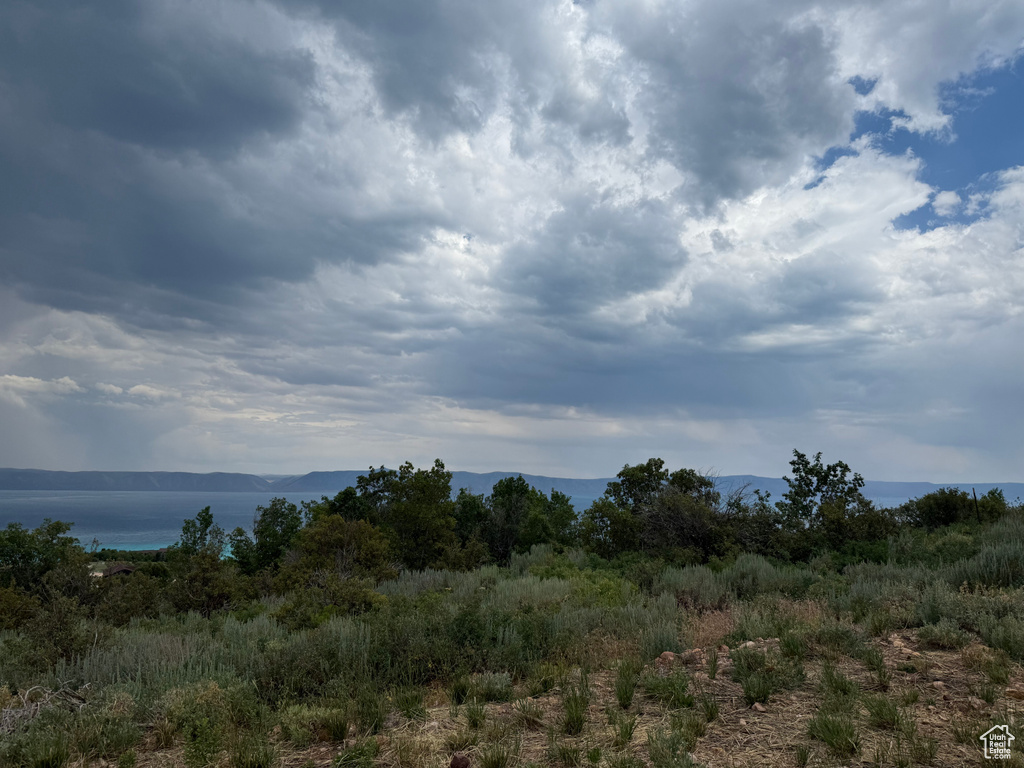 251  CALAMITY DR Fish Haven, ID 83287