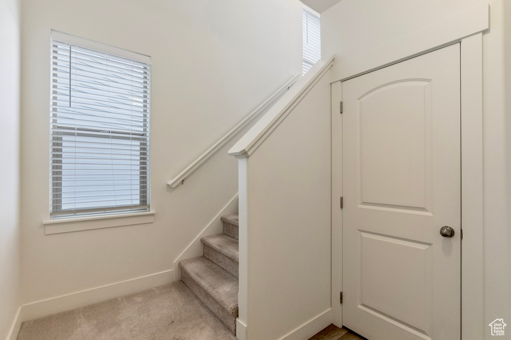 Staircase with baseboards and carpet flooring