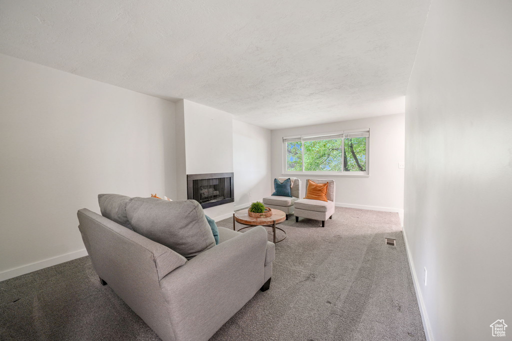 4716 S 700 E #33 Murray, UT 84107