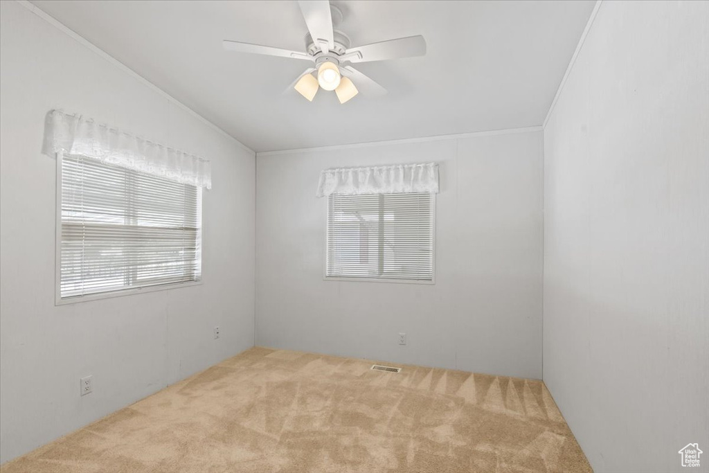 Carpeted empty room with a ceiling fan and ornamental molding