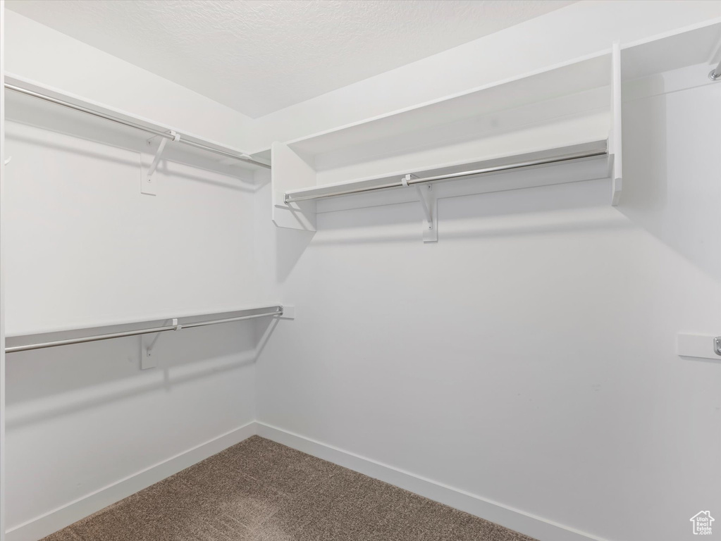 Walk in closet with carpet floors