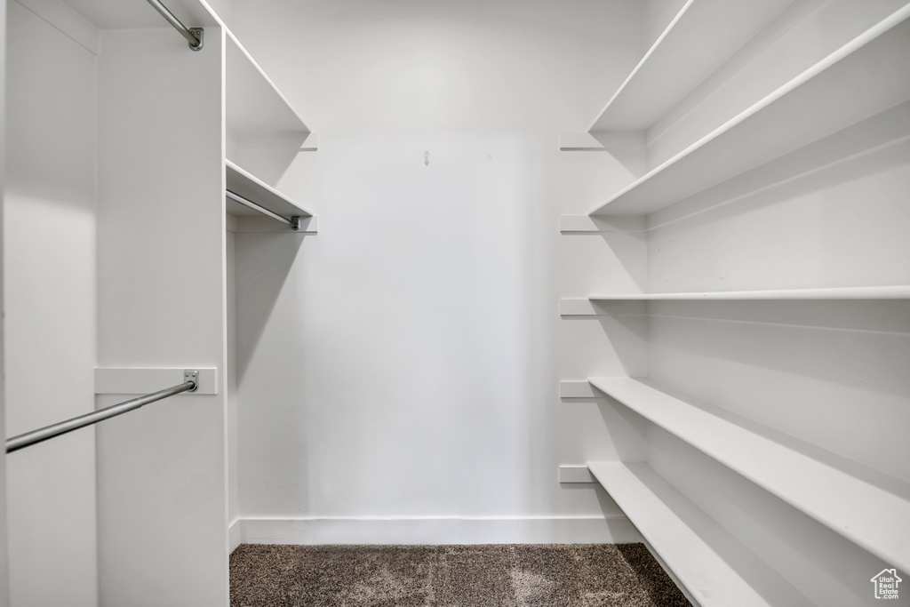 Walk in closet featuring carpet flooring