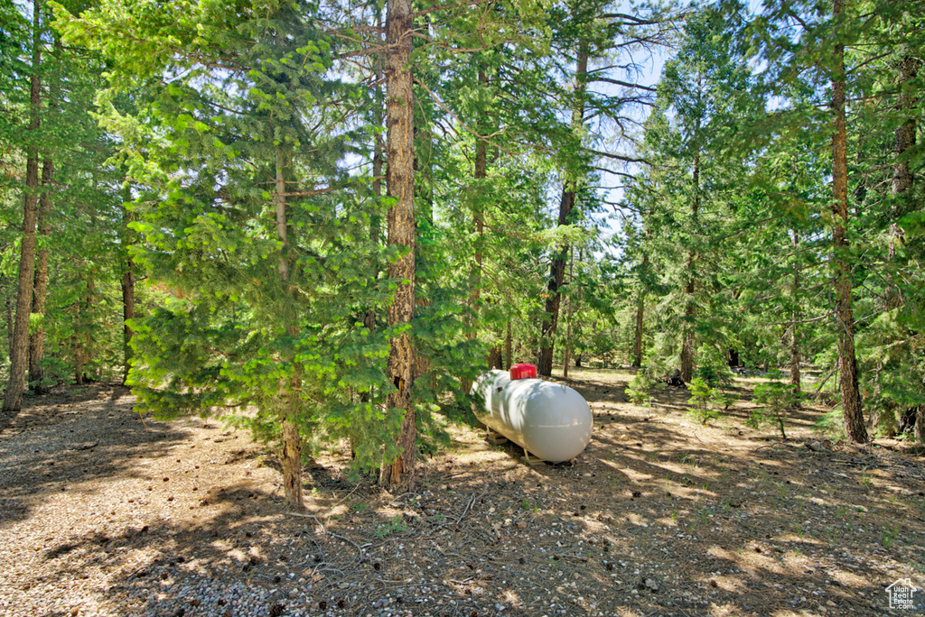 Exterior view of propane tank