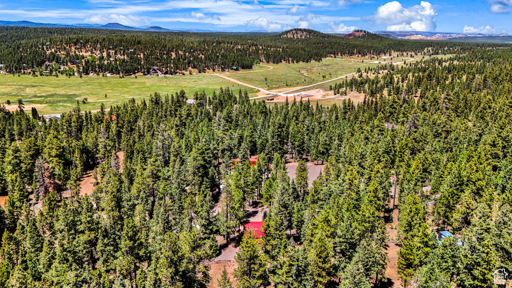 Aerial view of a mountainous background and a heavily wooded area