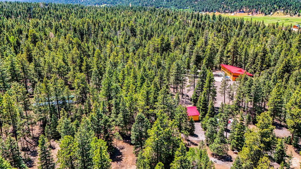 Bird\'s eye view of a heavily wooded area