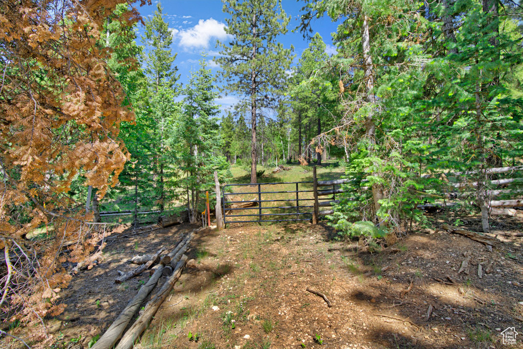 View of yard with a gate