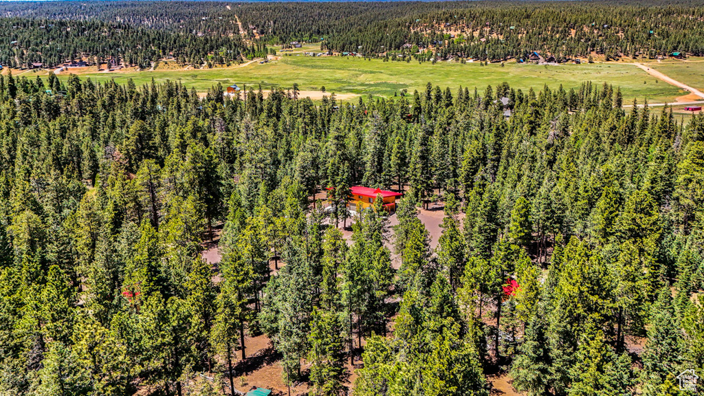 Bird\'s eye view of a forest