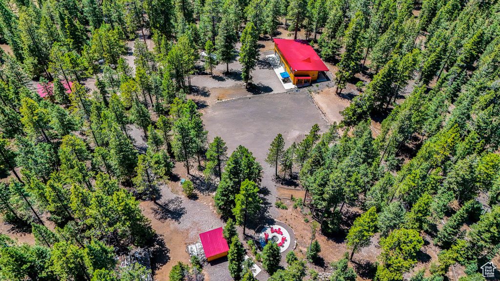 Bird\'s eye view
