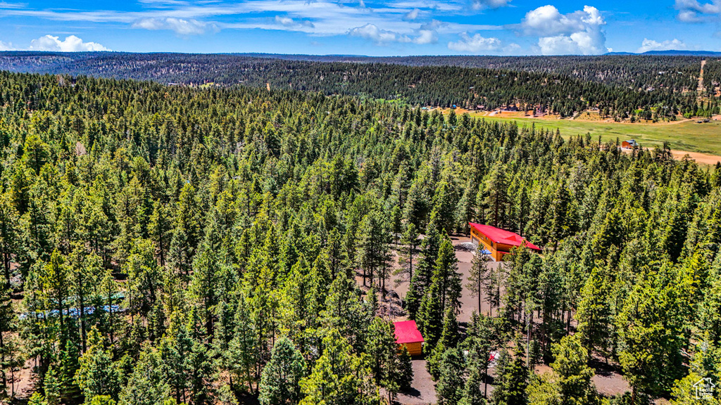 Bird\'s eye view of a heavily wooded area