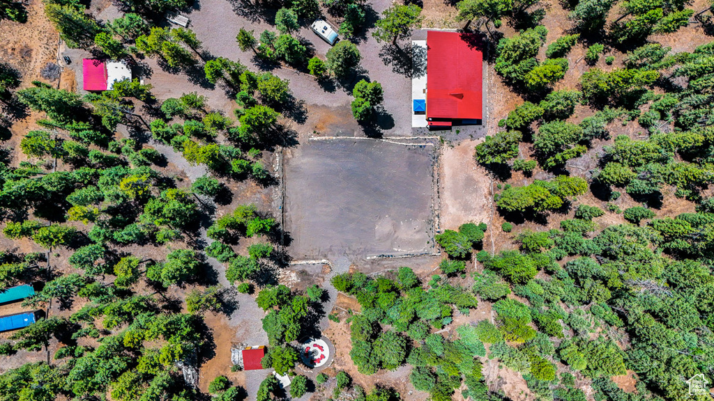 Bird\'s eye view