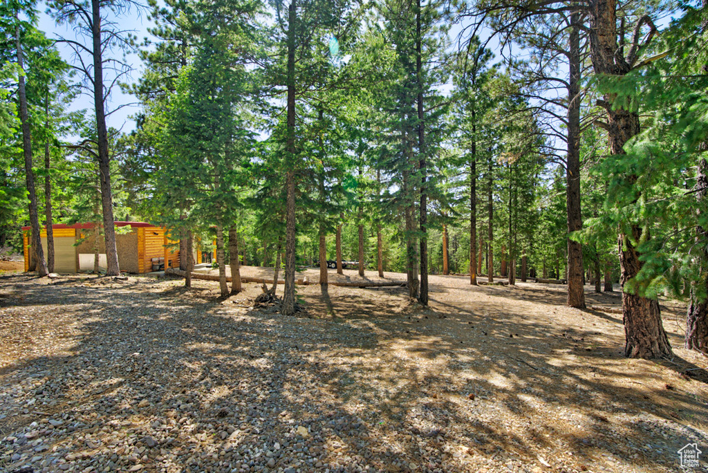 View of yard with an outbuilding