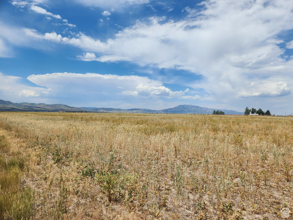 3879 N WARE RD RD Downey, ID 83234