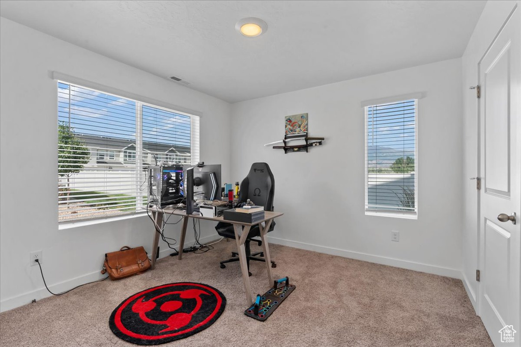 Home office featuring carpet flooring and healthy amount of natural light