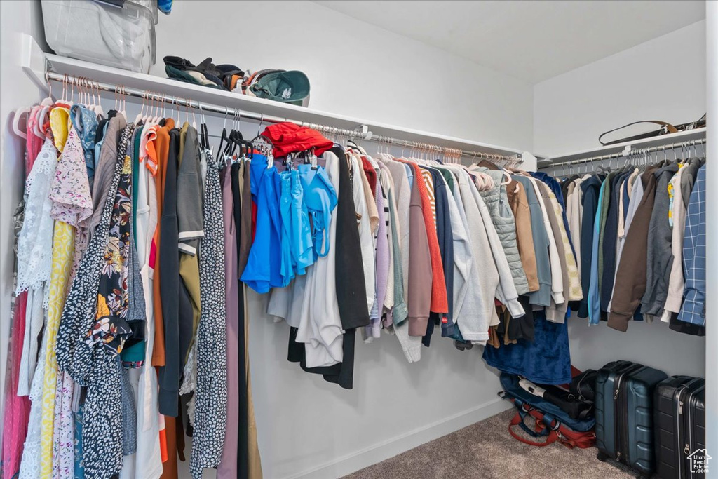 Spacious closet featuring carpet