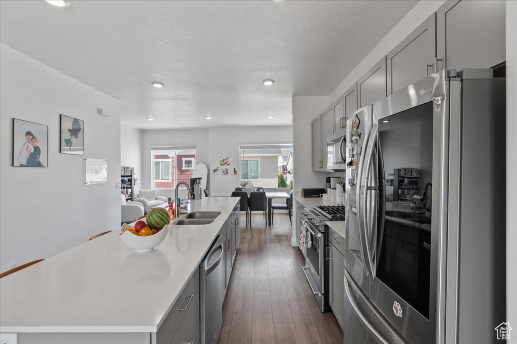 Kitchen with appliances with stainless steel finishes, gray cabinetry, an island with sink, light countertops, and dark wood-type flooring