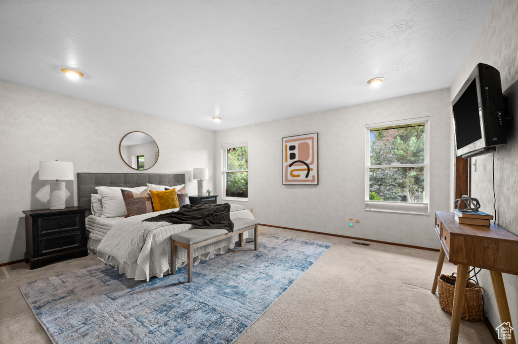 1575 W ALLEY ST Riverton, UT 84065