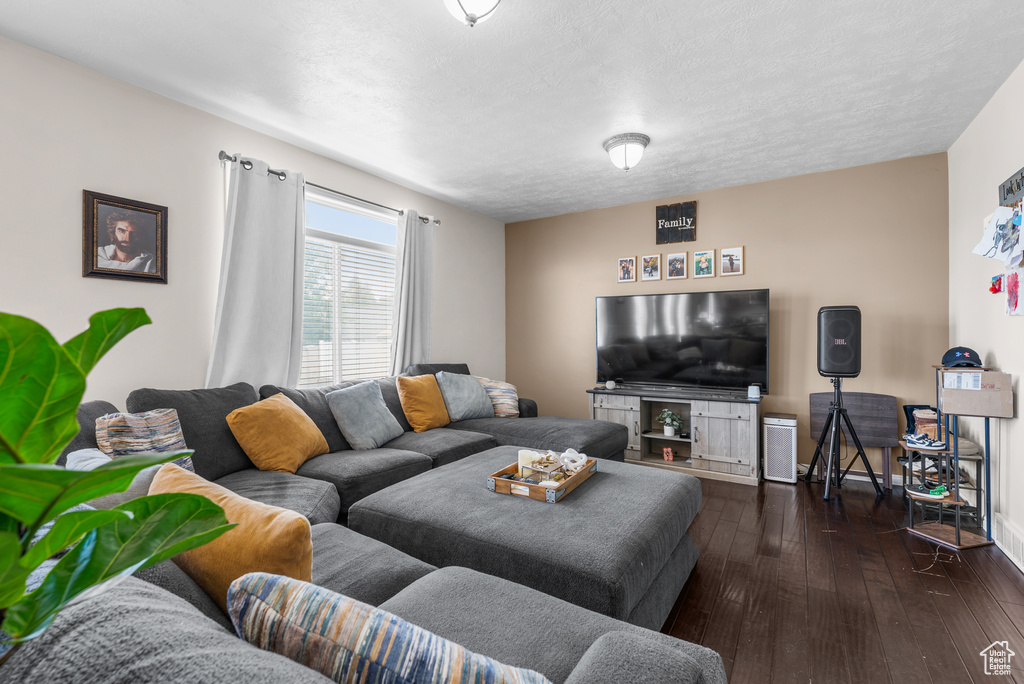Living area with dark wood-style flooring and a textured ceiling
