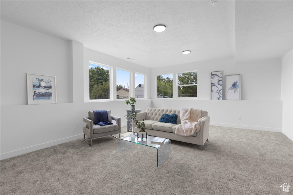 469 N 1360 E #13 Tooele, UT 84074