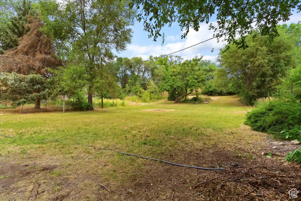 196 E 40TH ST South Ogden, UT 84405