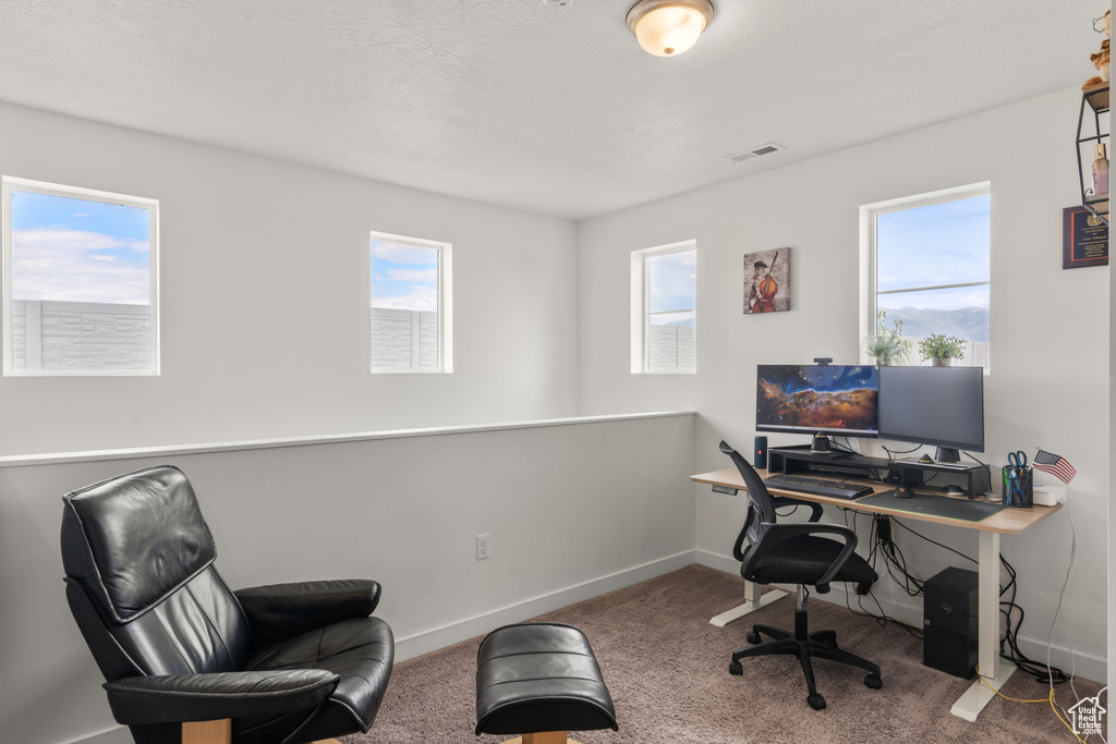 Office area with carpet and baseboards