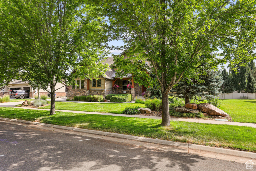 View of property hidden behind natural elements featuring stone siding and driveway