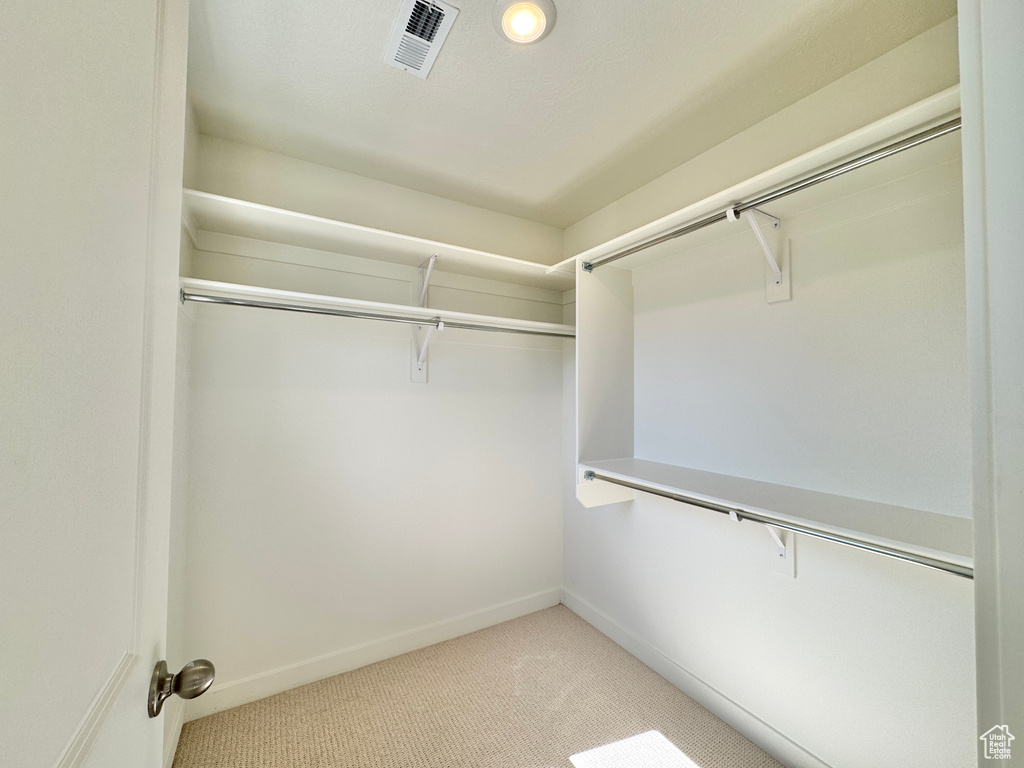 Spacious closet with light carpet