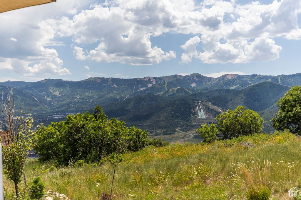 1433 SNOW BERRY ST Park City, UT 84098
